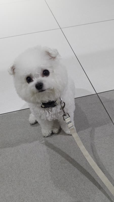 동영상 썸네일