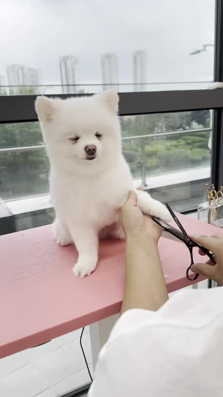 동영상 썸네일