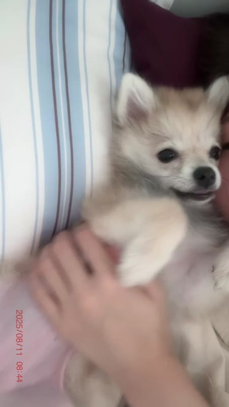 동영상 썸네일