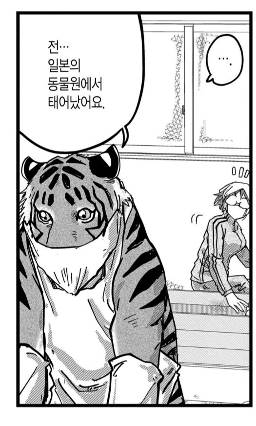 일본에서 태어난 암컷호랑이.manhwa_1.png