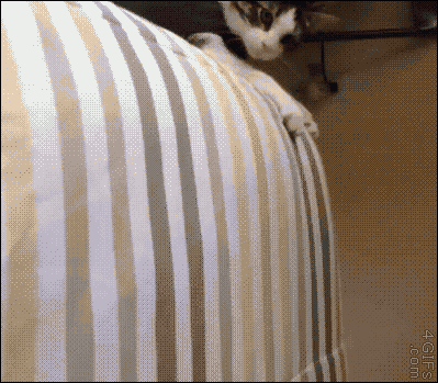 20250924180110_jPUbB6oJIx.gif