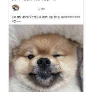 20250928181049_O2ABUXFSge.jpeg