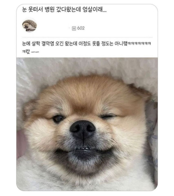 20250928181049_O2ABUXFSge.jpeg