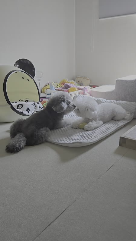 동영상 썸네일