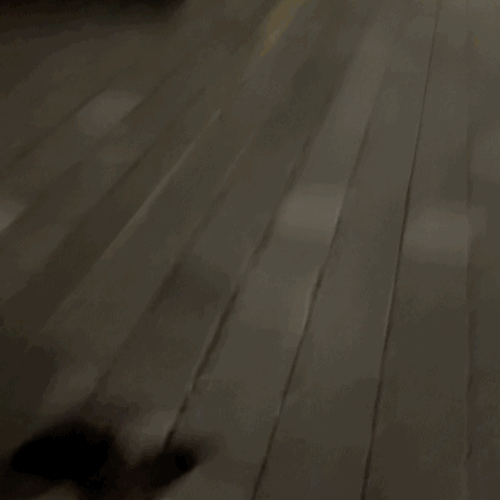 e40e57b8eb6836ecf1235e821841890e_1761153355_1087.gif