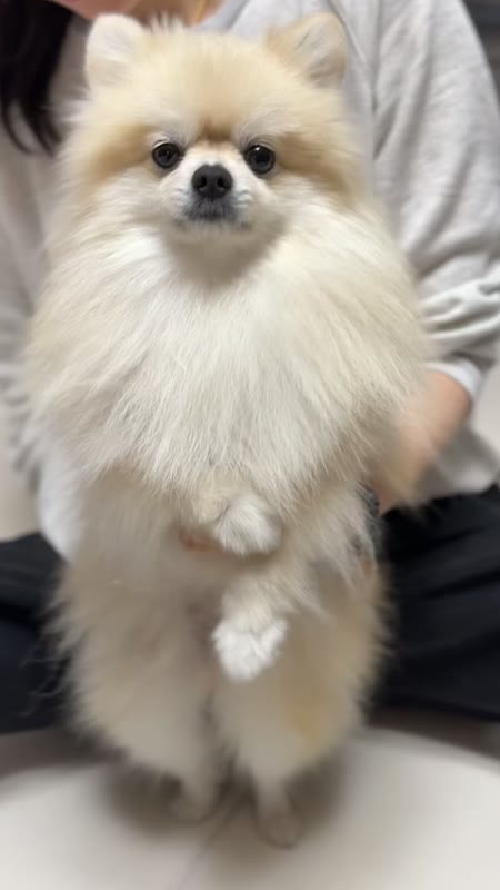 동영상 썸네일