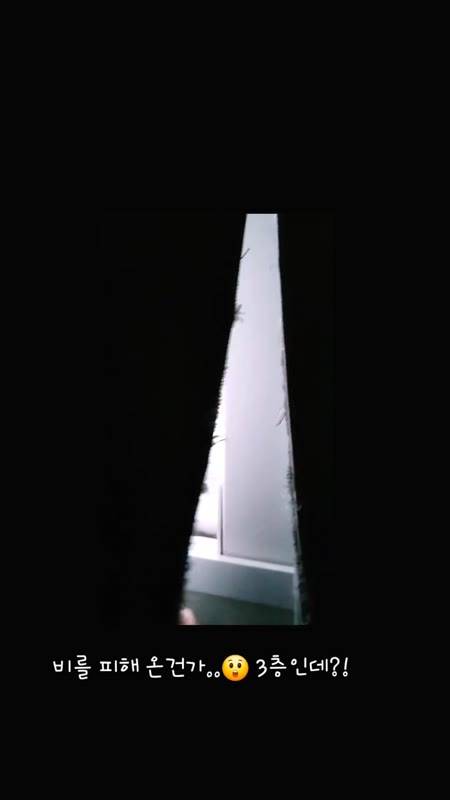 동영상 썸네일