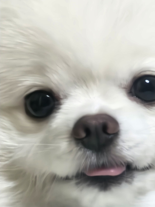 0aaf3fe0cc2ff1b90b58ff8451696e6d_1760165614_1169.jpg