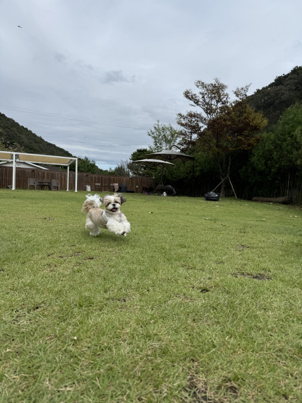 14c3b8513b069b0cd92bc934fa9305d1_1760534963_9614.jpeg