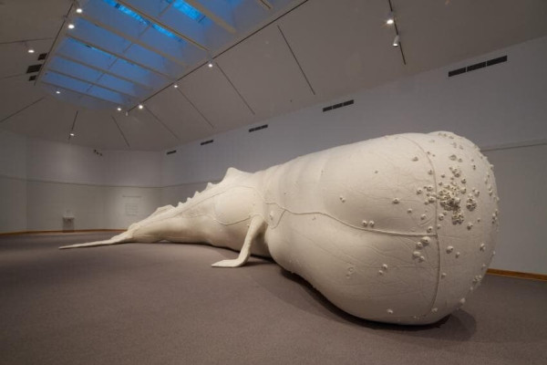 포경선으로부터 고래를 지키기 위해 평생 싸워온 영웅.jpg_3.jpg