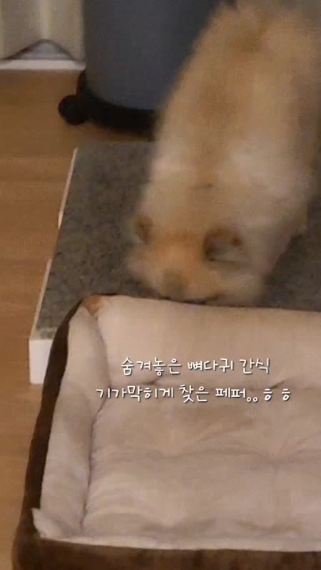 동영상 썸네일
