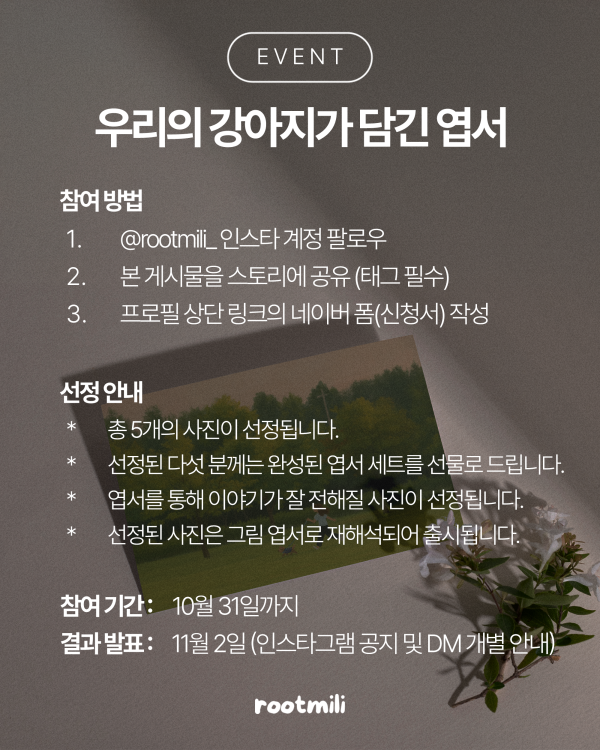 1fd06180fe7a50c750702eb6263c314c_1760555094_7899.png