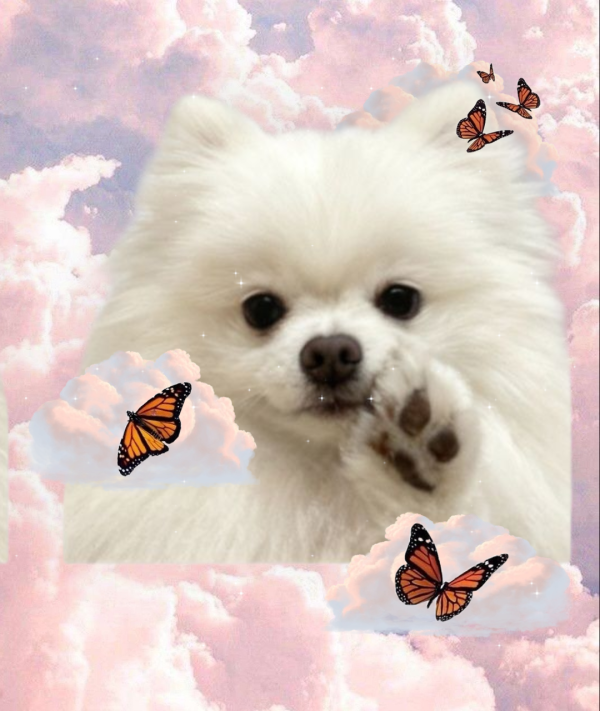 2194b7395a3fd9b229684844dc1154d4_1760010676_6561.png