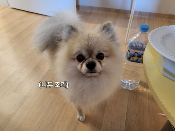 28f9209350c2c3329be225f10f70aac3_1760762795_5817.jpg