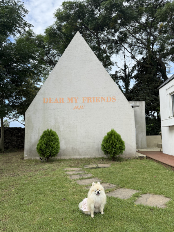 37f00c44ca3166b128aa9cfabea72c1d_1760811137_3320.jpeg