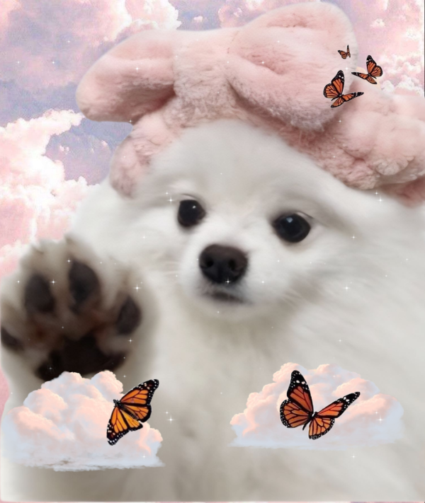4923d844a7e799a82d18bd2162d67110_1760010670_8973.png