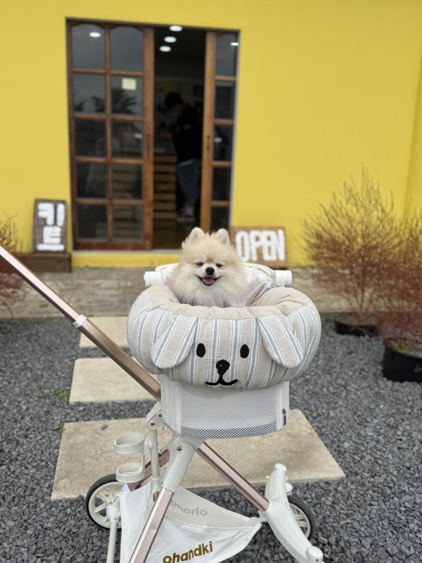 5d2c3c27531f1208a3e48671fa497f8f_1760695832_5934.jpeg