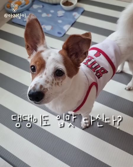 동영상 썸네일