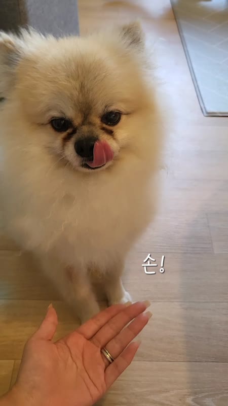 동영상 썸네일