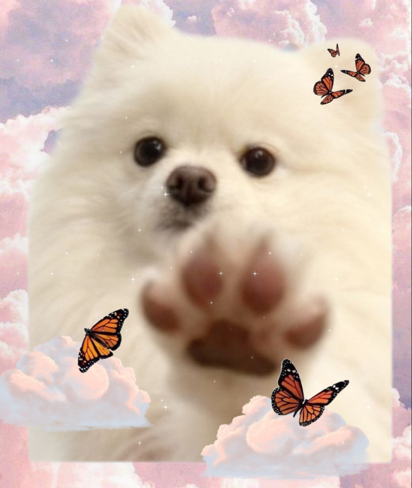 c1faa45ab3a88211cad1288a1f929d1c_1760010675_5866.png