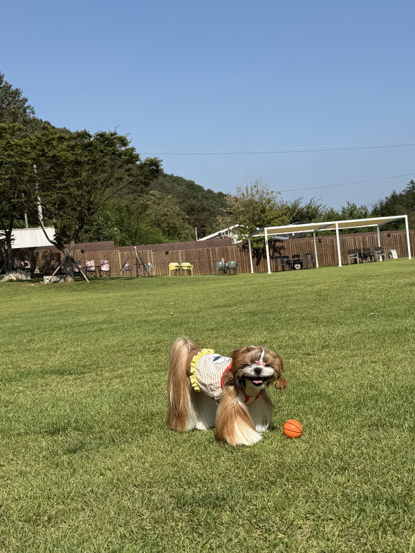 c57d1c39478792773df98a8f3b9679e2_1759384925_7739.jpeg
