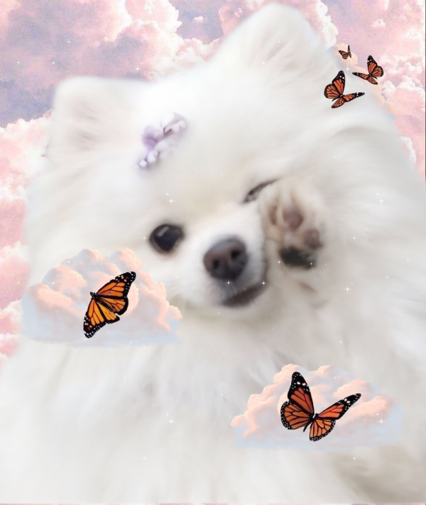 e3dfc49a57f396053b8e85fcacc713bc_1760010674_4203.png