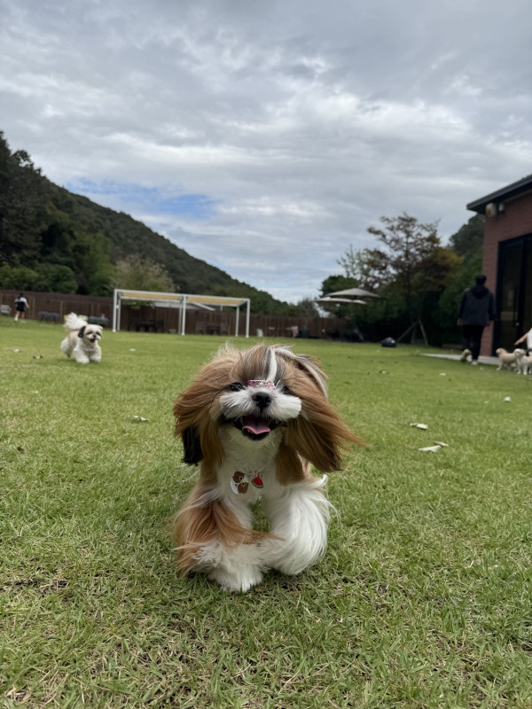 ecaa3045fa14ca2d9713fff615a90518_1760534961_8123.jpeg