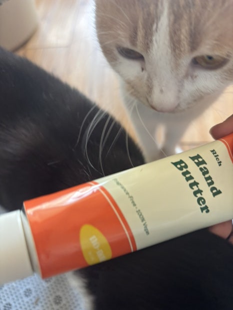 IMG_9546.jpg IMG_9546.jpg