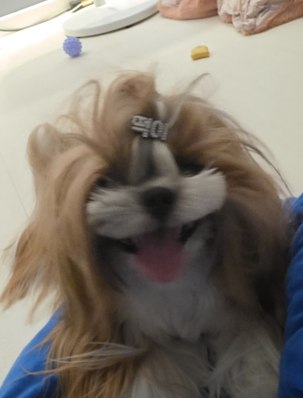 0c0299d5f9bd2effa471bfbe6e908429_1778043410_8527.png