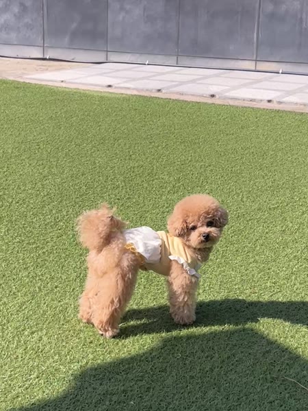 동영상 썸네일