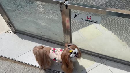 동영상 썸네일