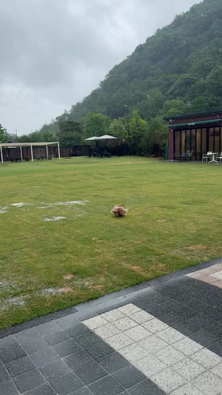 동영상 썸네일