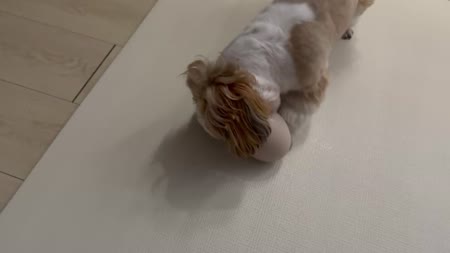 동영상 썸네일
