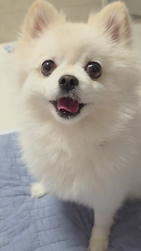 동영상 썸네일