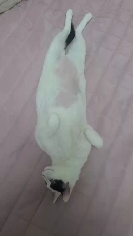 동영상 썸네일
