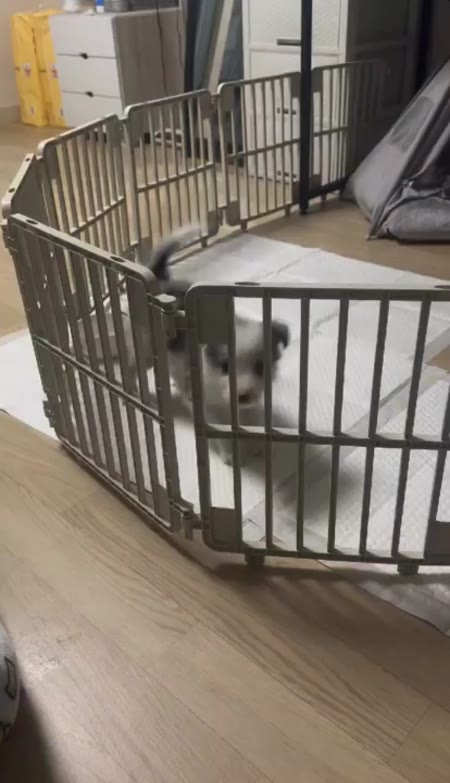 동영상 썸네일